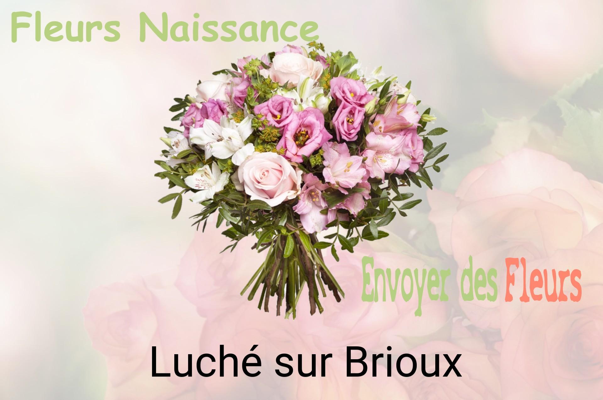 Bouquet de fleurs de naissance livré à Luché-sur-Brioux