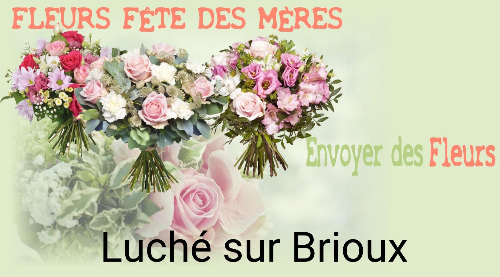 Bouquet de Fête des Mères livré à Luché-sur-Brioux